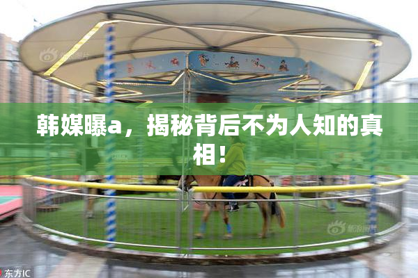 韩媒曝a，揭秘背后不为人知的真相！