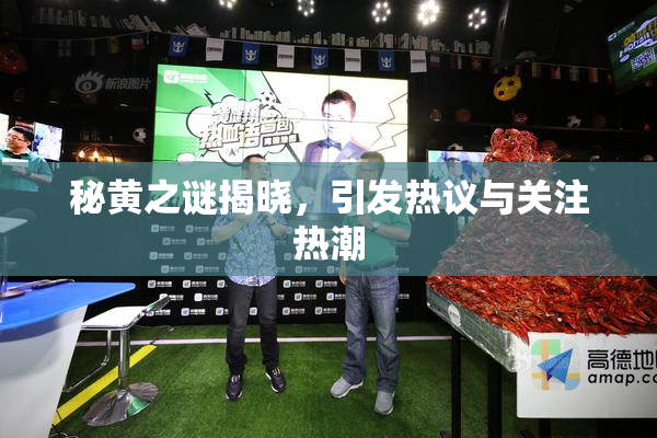 秘黄之谜揭晓，引发热议与关注热潮