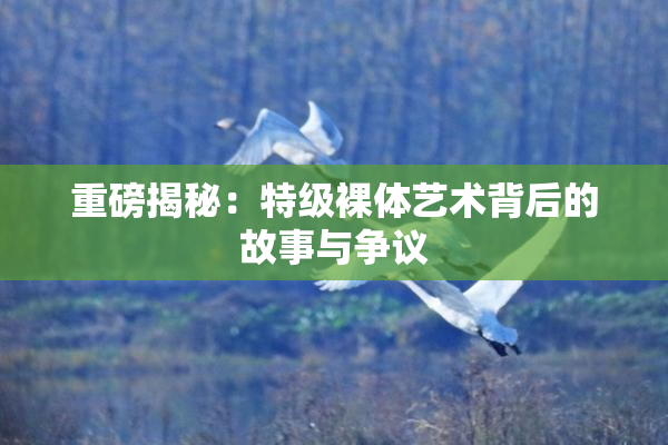 重磅揭秘：特级裸体艺术背后的故事与争议