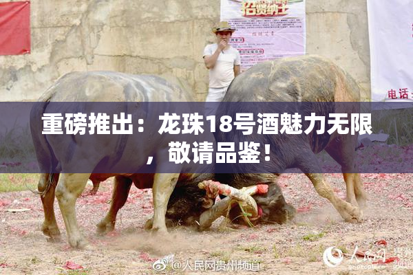 重磅推出：龙珠18号酒魅力无限，敬请品鉴！