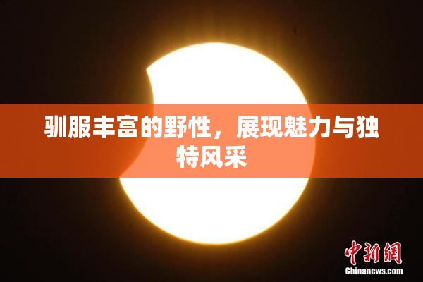 驯服丰富的野性，展现魅力与独特风采