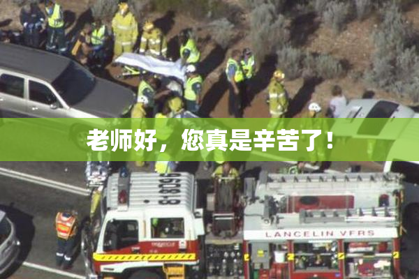 老师好，您真是辛苦了！