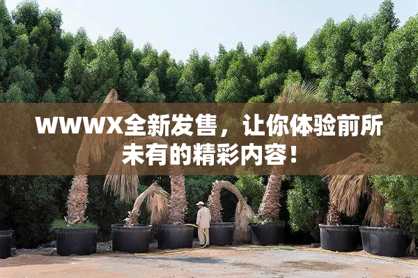 WWWX全新发售，让你体验前所未有的精彩内容！