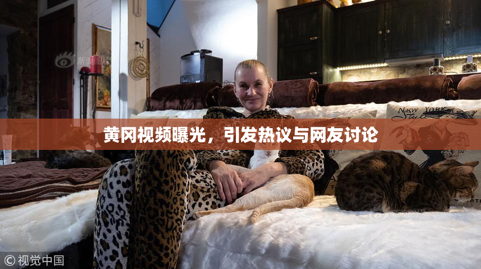 黄冈视频曝光，引发热议与网友讨论