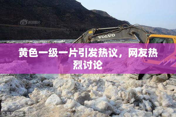 黄色一级一片引发热议，网友热烈讨论
