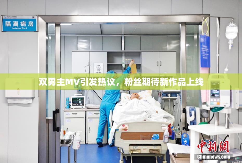 双男主MV引发热议，粉丝期待新作品上线