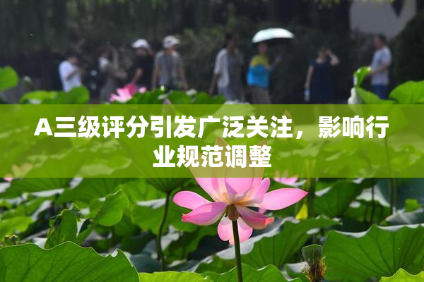 A三级评分引发广泛关注，影响行业规范调整