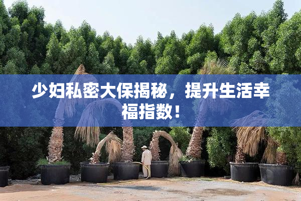 少妇私密大保揭秘，提升生活幸福指数！