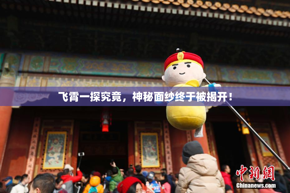 飞霄一探究竟，神秘面纱终于被揭开！