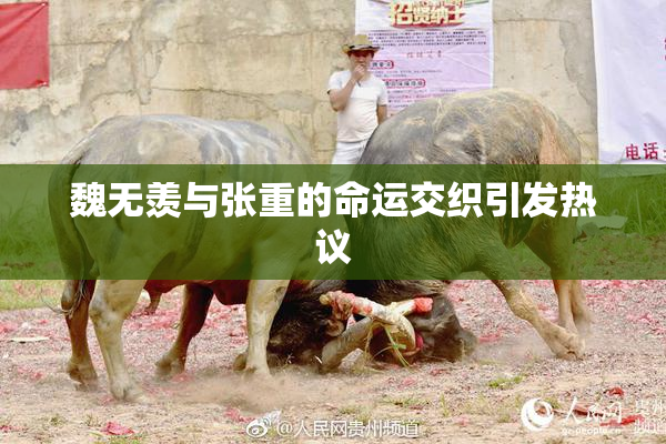魏无羡与张重的命运交织引发热议