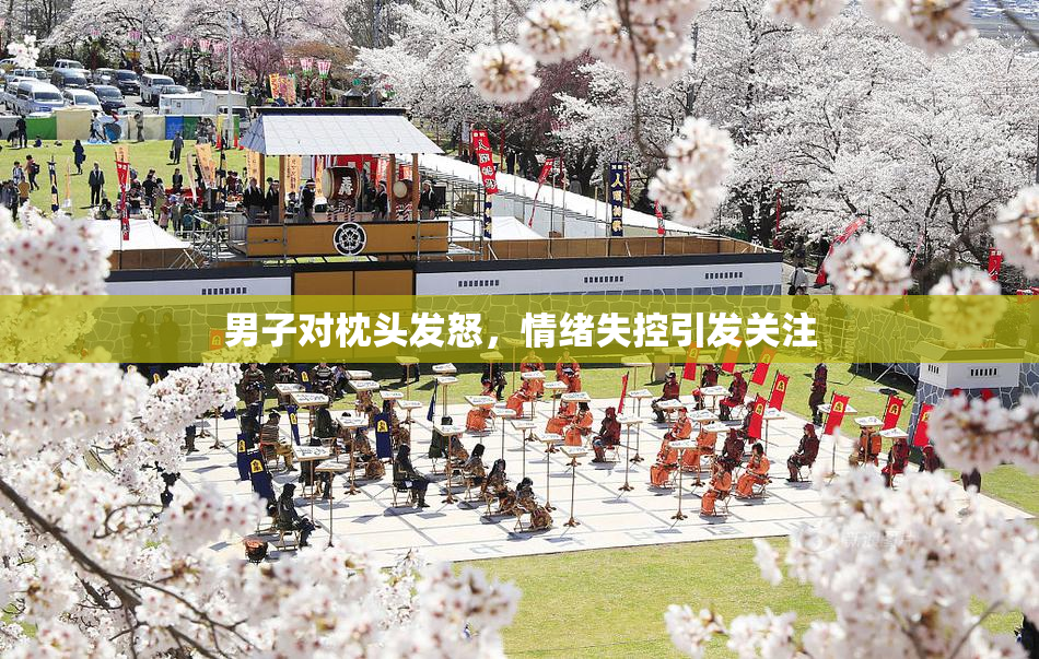 男子对枕头发怒，情绪失控引发关注