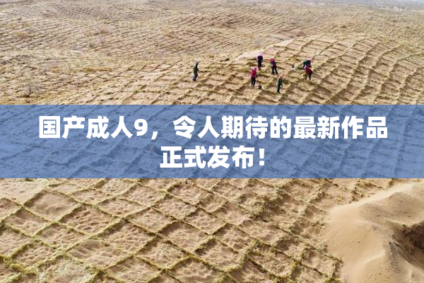 国产成人9，令人期待的最新作品正式发布！