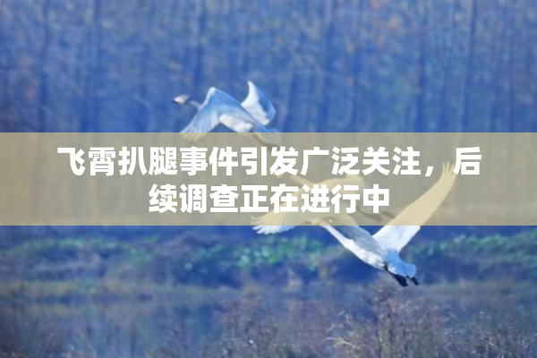 飞霄扒腿事件引发广泛关注，后续调查正在进行中