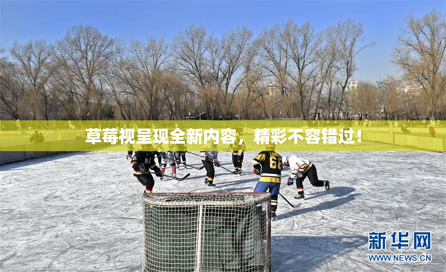 草莓视呈现全新内容，精彩不容错过！