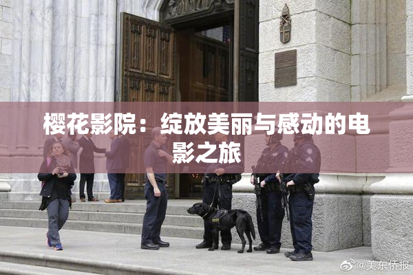 樱花影院：绽放美丽与感动的电影之旅