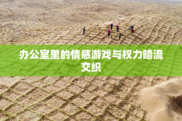 办公室里的情感游戏与权力暗流交织