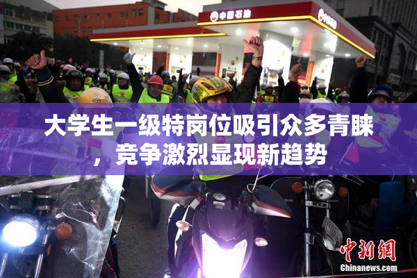 大学生一级特岗位吸引众多青睐，竞争激烈显现新趋势