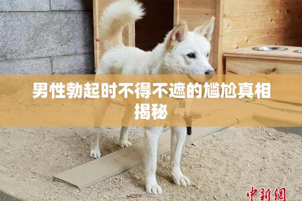 男性勃起时不得不遮的尴尬真相揭秘