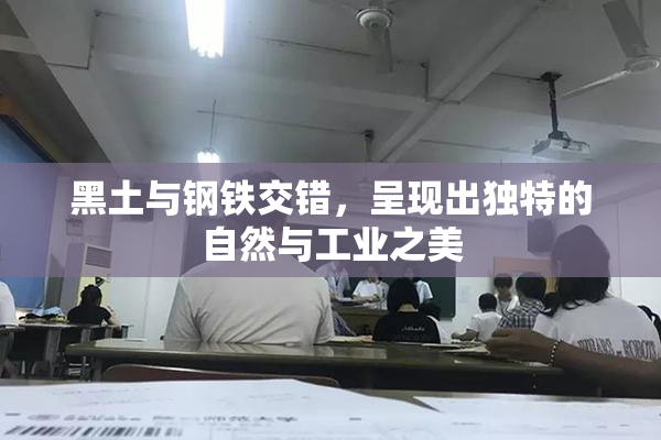 黑土与钢铁交错，呈现出独特的自然与工业之美