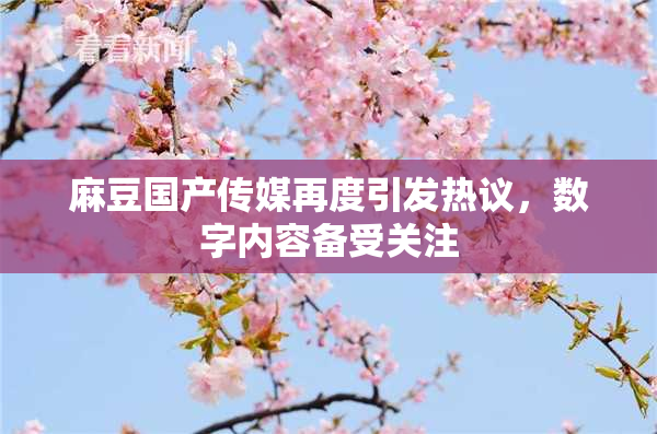麻豆国产传媒再度引发热议，数字内容备受关注