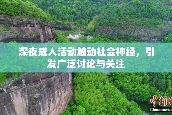 深夜成人活动触动社会神经，引发广泛讨论与关注