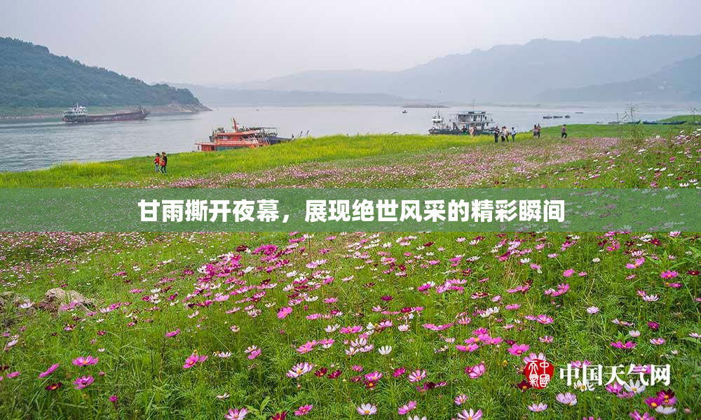 甘雨撕开夜幕，展现绝世风采的精彩瞬间