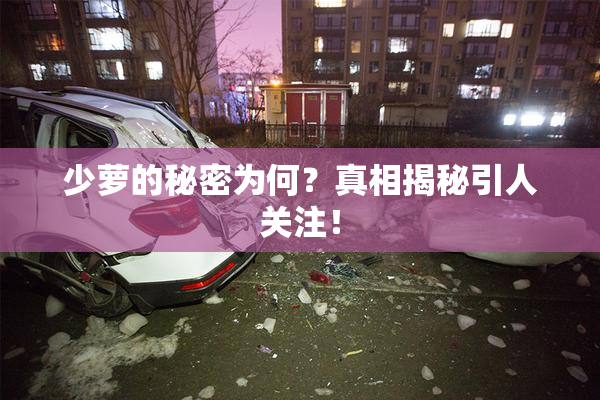少萝的秘密为何？真相揭秘引人关注！