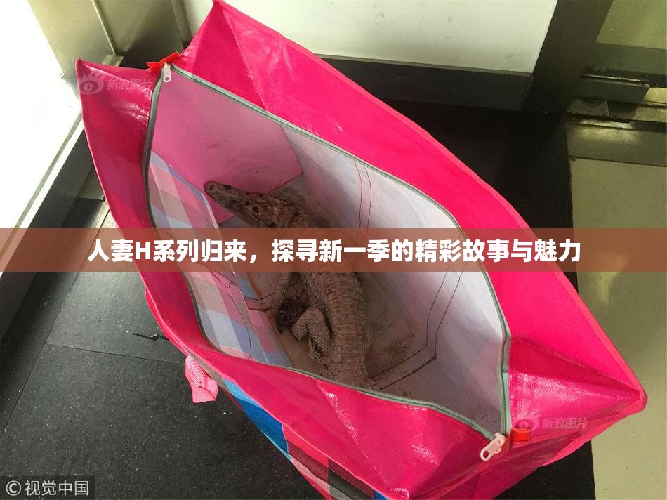 人妻H系列归来，探寻新一季的精彩故事与魅力