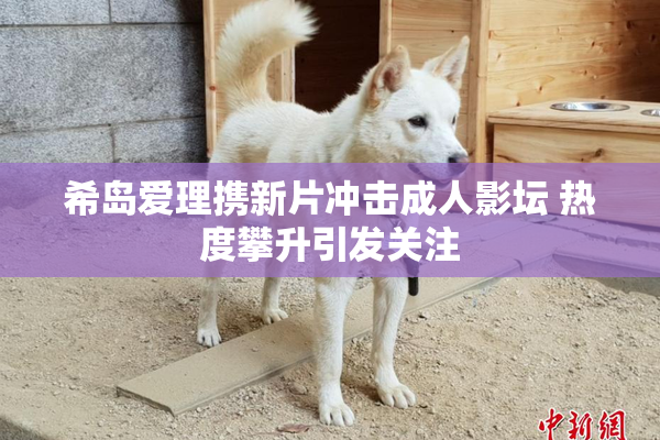 希岛爱理携新片冲击成人影坛 热度攀升引发关注