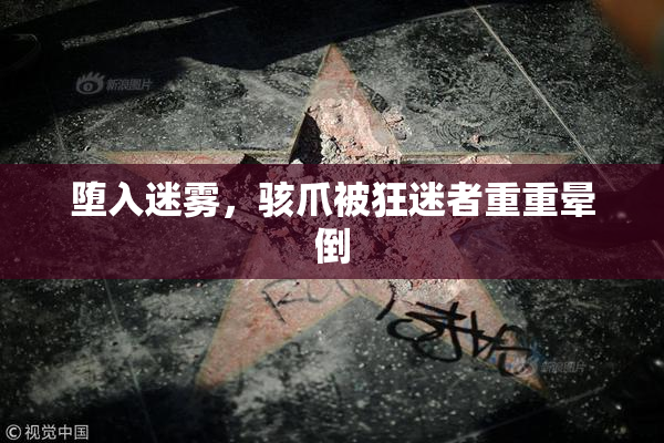 堕入迷雾，骇爪被狂迷者重重晕倒