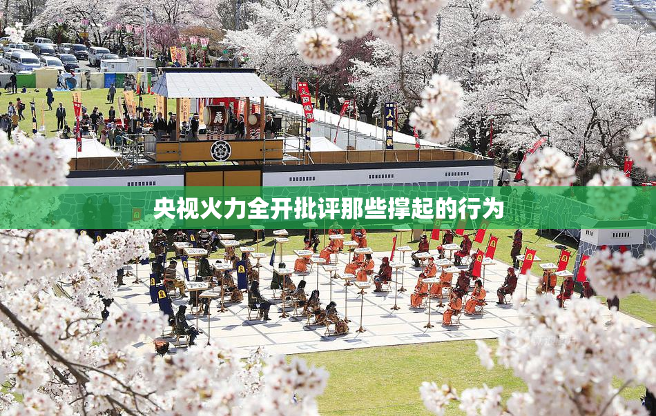 央视火力全开批评那些撑起的行为