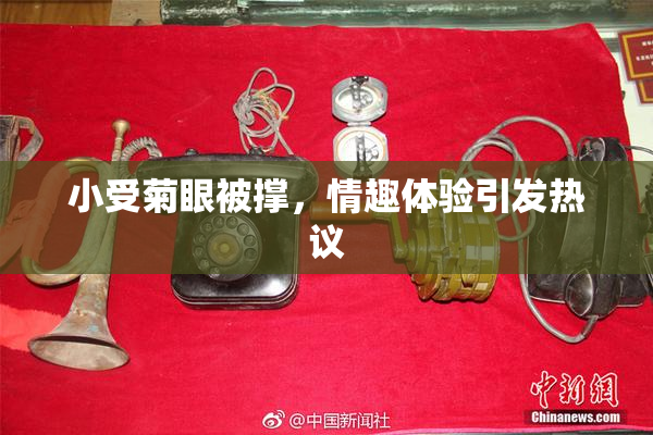 小受菊眼被撑，情趣体验引发热议