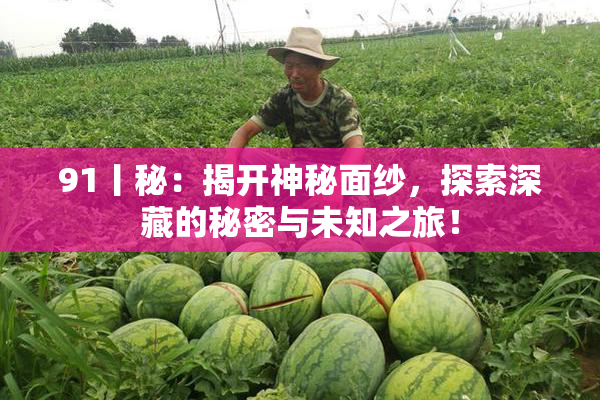 91丨秘：揭开神秘面纱，探索深藏的秘密与未知之旅！
