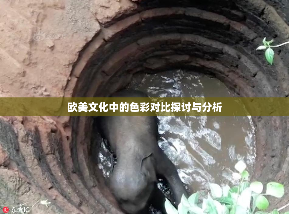 欧美文化中的色彩对比探讨与分析