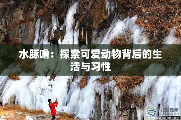 水豚噜：探索可爱动物背后的生活与习性