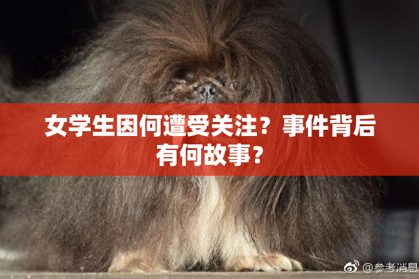 女学生因何遭受关注？事件背后有何故事？