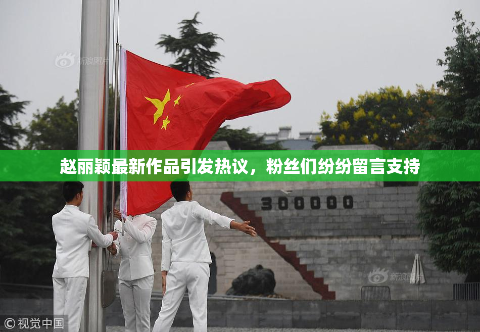 赵丽颖最新作品引发热议，粉丝们纷纷留言支持