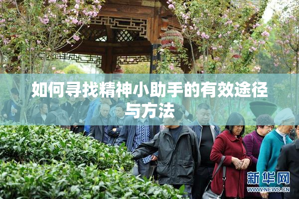 如何寻找精神小助手的有效途径与方法