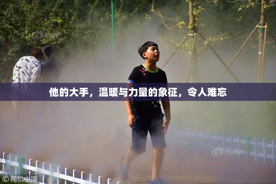 他的大手，温暖与力量的象征，令人难忘