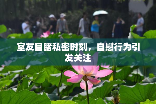 室友目睹私密时刻，自慰行为引发关注
