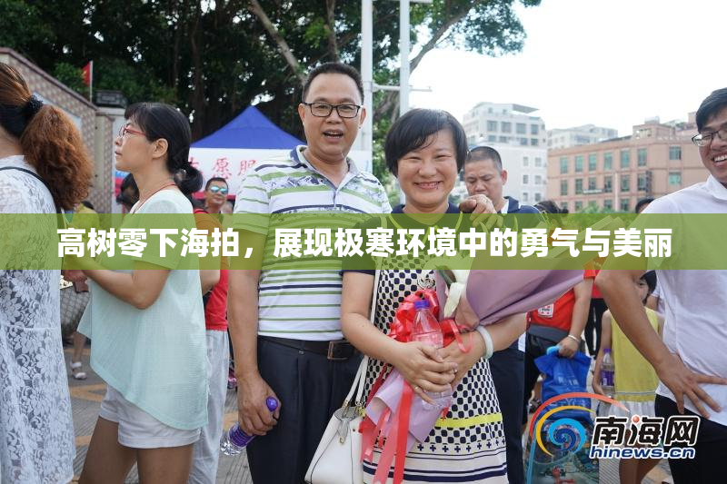 高树零下海拍，展现极寒环境中的勇气与美丽