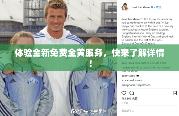 体验全新免费全黄服务，快来了解详情！