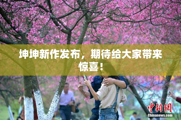 坤坤新作发布，期待给大家带来惊喜！
