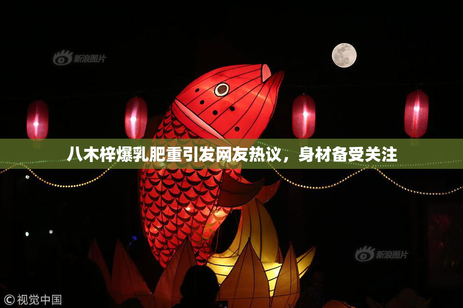 八木梓爆乳肥重引发网友热议，身材备受关注