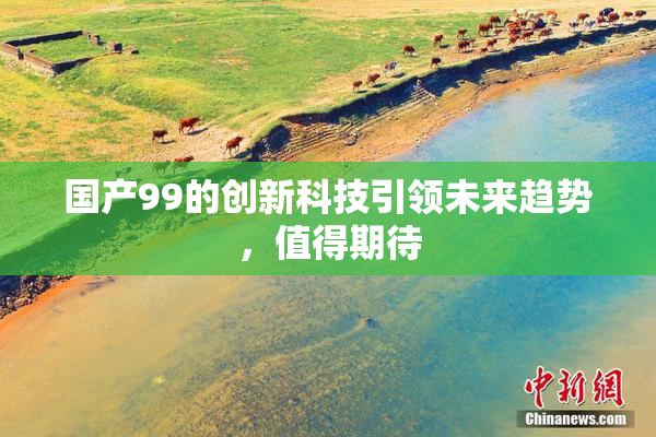 国产99的创新科技引领未来趋势，值得期待