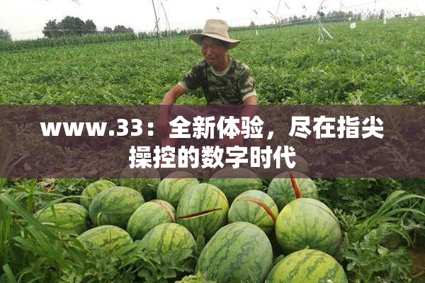 www.33：全新体验，尽在指尖操控的数字时代