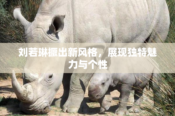 刘若琳撅出新风格，展现独特魅力与个性