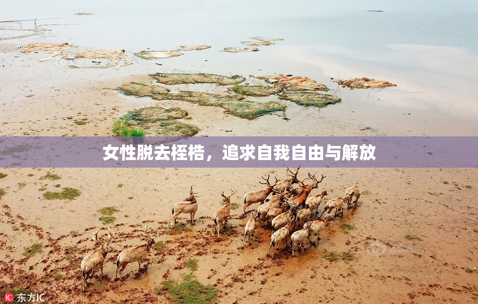 女性脱去桎梏，追求自我自由与解放