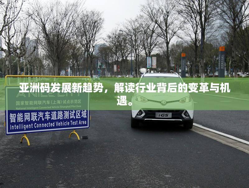 亚洲码发展新趋势，解读行业背后的变革与机遇。