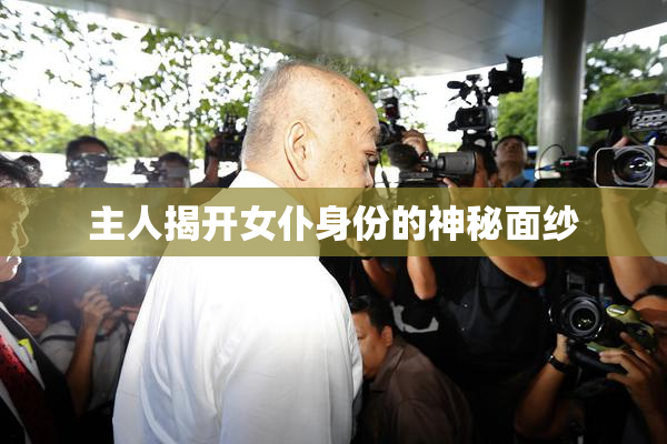 主人揭开女仆身份的神秘面纱